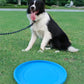 Soft Non-Slip Dog Flying Disc - Go Bagheera