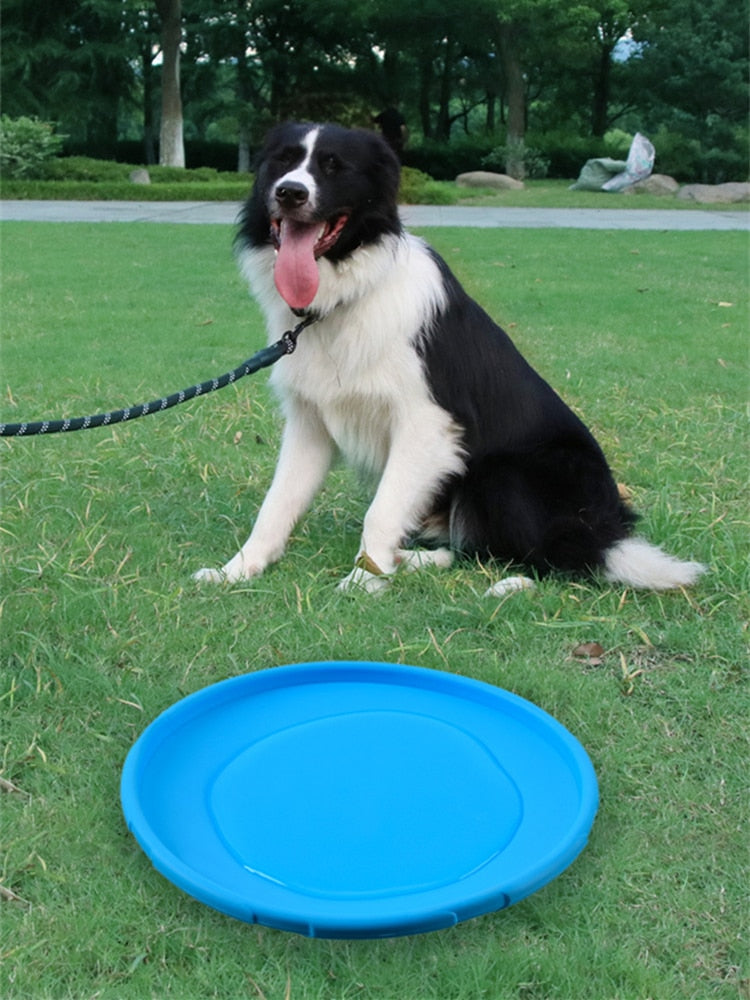 Soft Non-Slip Dog Flying Disc - Go Bagheera