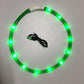 Luminous Pet Collar - Go Bagheera