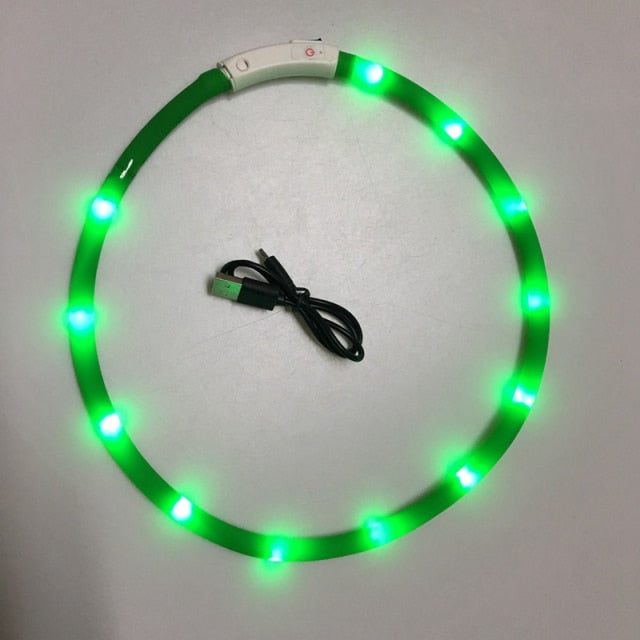 Luminous Pet Collar - Go Bagheera