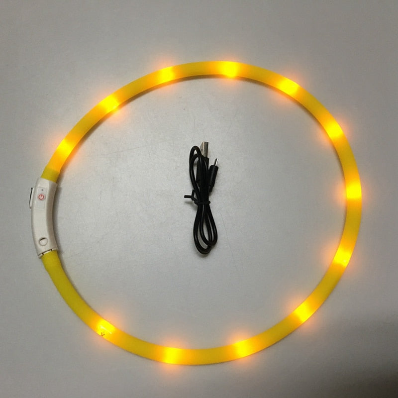 Luminous Pet Collar - Go Bagheera