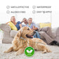 Pro Guard Flea and Tick Pet Collar - Go Bagheera