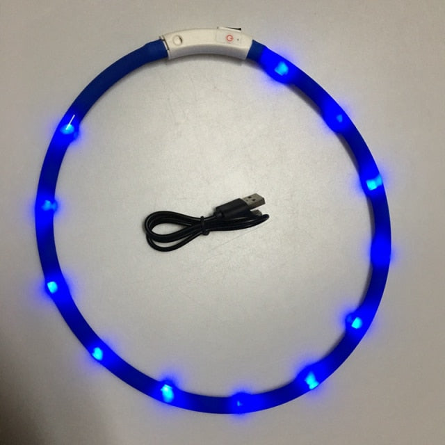 Luminous Pet Collar - Go Bagheera