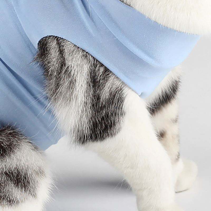 Pet Postoperative Recovery Clothes Female Cat Straps Sterilization Clothes Cat Weaning Clothes Breathable Physiological Clothes Anti-Licking And Anti-Biting - Go Bagheera