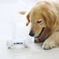 Pet Induction Interactive Toy - Go Bagheera