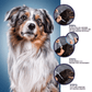 Pro Guard Flea and Tick Pet Collar - Go Bagheera