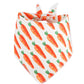 New Easter Pet Party Decor Kit - Go Bagheera