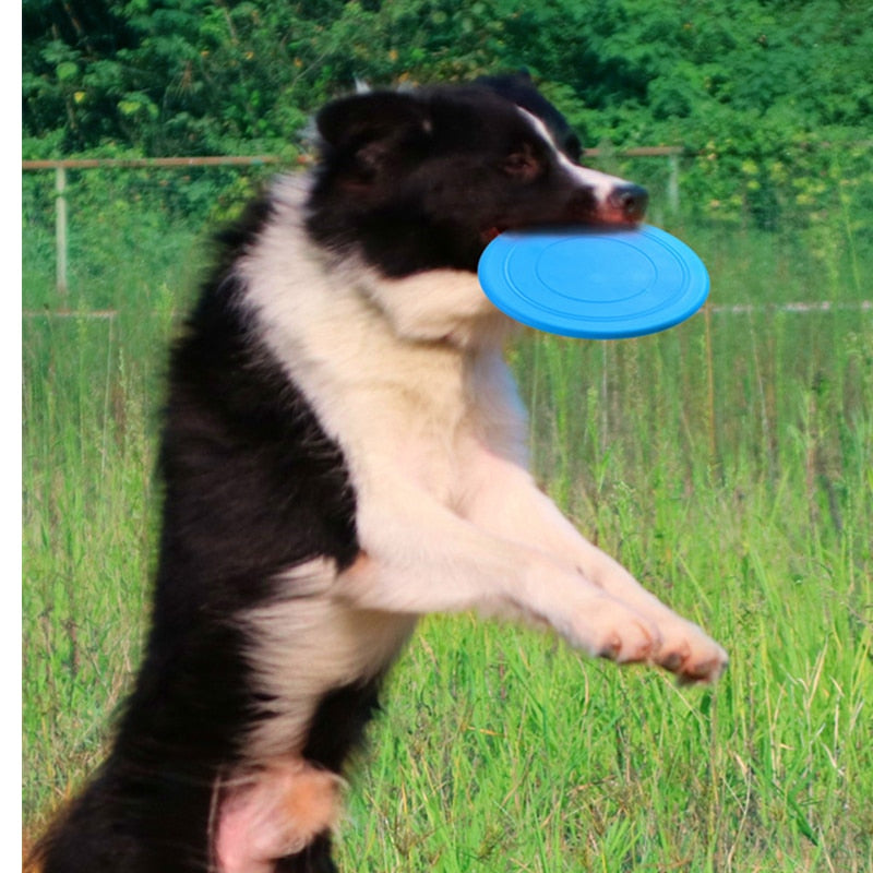 Soft Non-Slip Dog Flying Disc - Go Bagheera