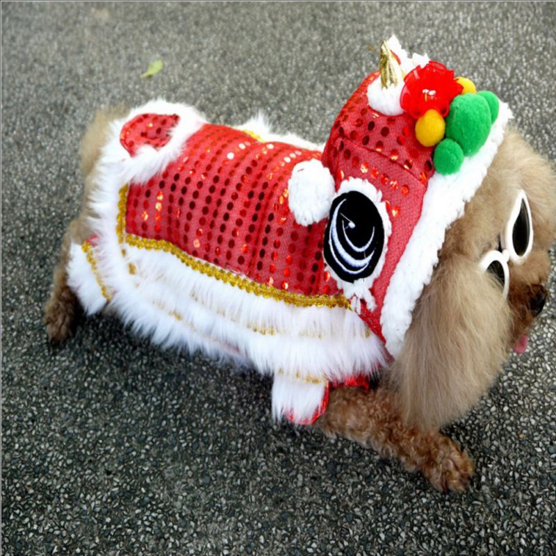 Spring Festival Dog Coat - Go Bagheera