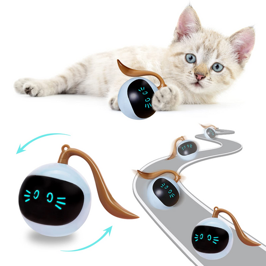 Kitten Electronic Ball - Go Bagheera