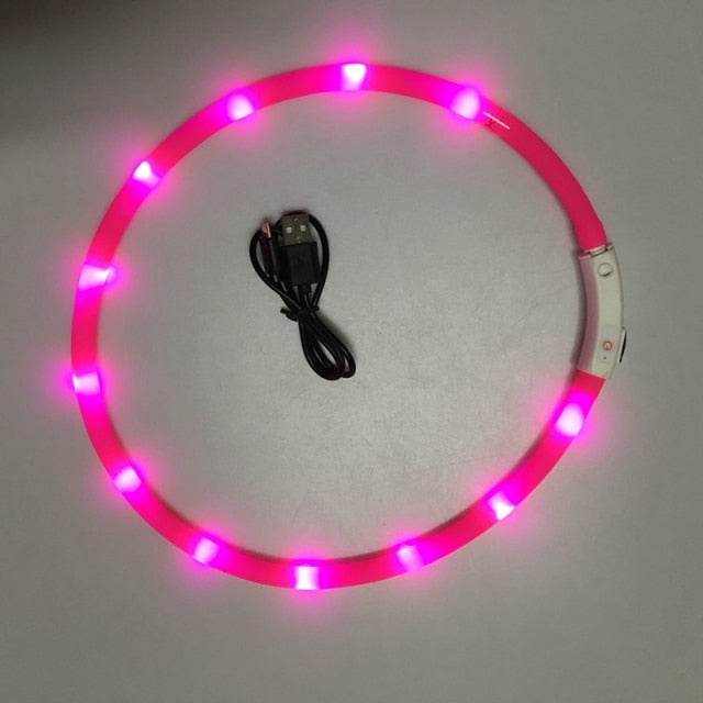 Luminous Pet Collar - Go Bagheera