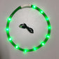 Luminous Pet Collar - Go Bagheera