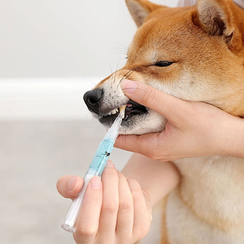 Pets Teeth Cleaning Tool - Go Bagheera